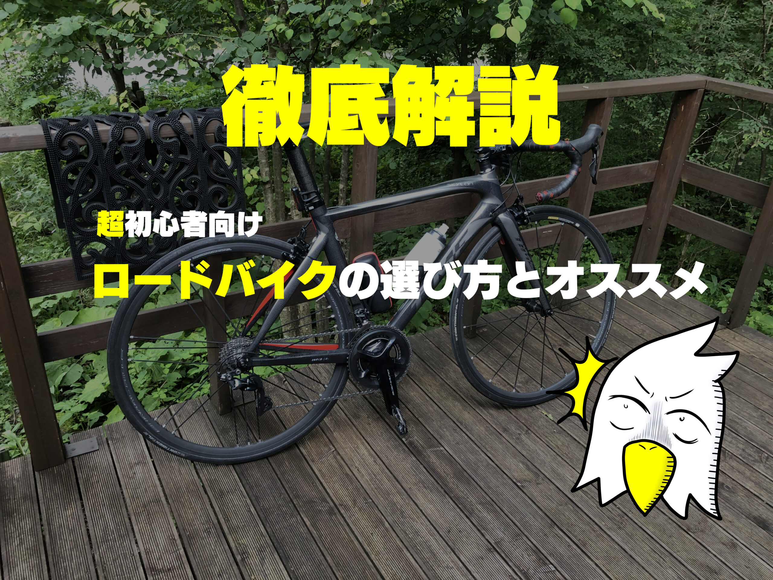 さあロードバイクを始めよう 選び方とおすすめが知識ゼロの初心者でもわかるよう全力で説明する